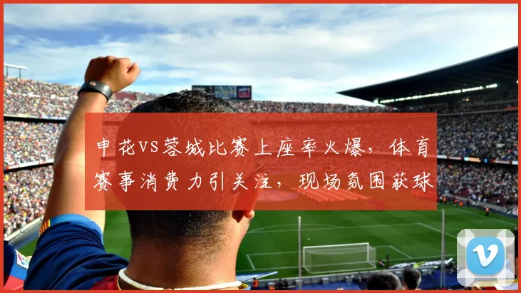 申花vs蓉城比赛上座率火爆,体育赛事消费力引关注,现场氛围获球迷点赞